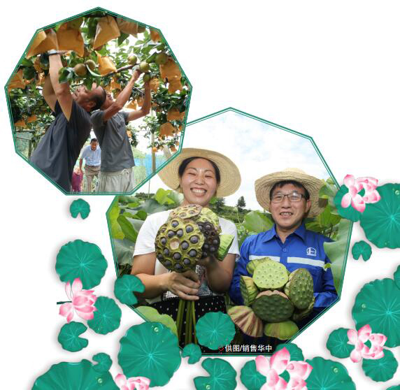 南宫国际(中国区)-官方网站