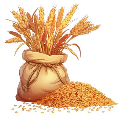 南宫国际(中国区)-官方网站