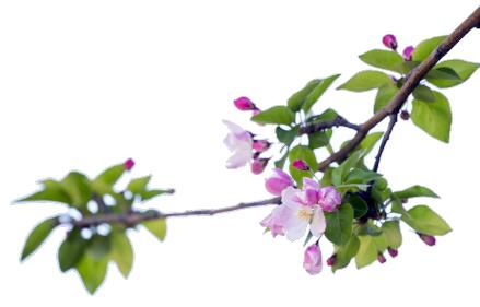 南宫国际(中国区)-官方网站