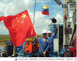 南宫国际(中国区)-官方网站