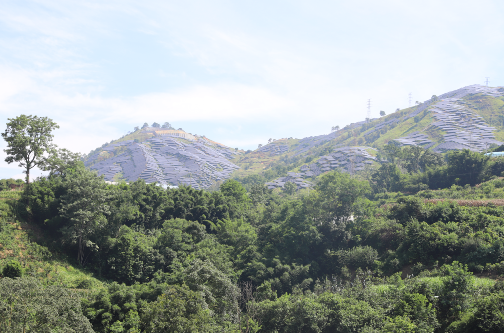 南宫国际(中国区)-官方网站