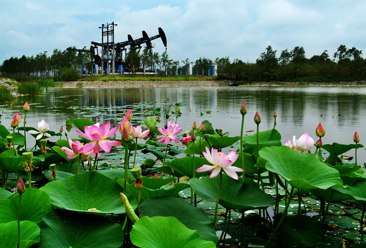 南宫国际(中国区)-官方网站
