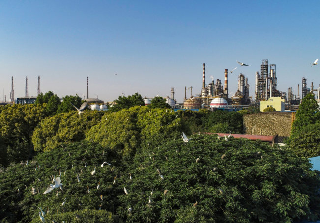 南宫国际(中国区)-官方网站