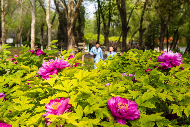 南宫国际(中国区)-官方网站