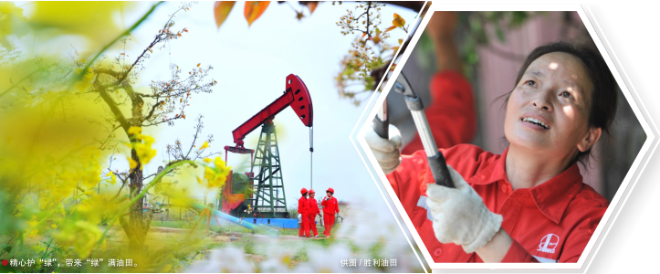 南宫国际(中国区)-官方网站