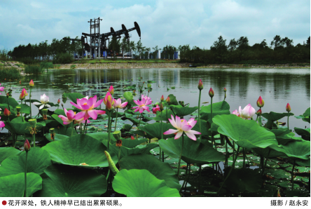 南宫国际(中国区)-官方网站