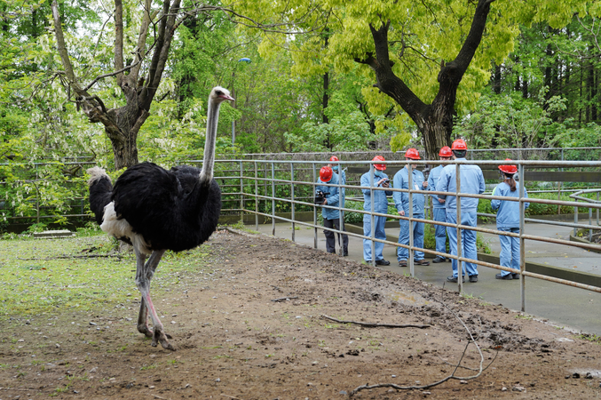 南宫国际(中国区)-官方网站