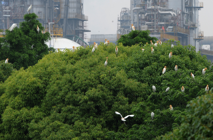 南宫国际(中国区)-官方网站