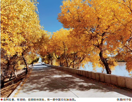 南宫国际(中国区)-官方网站