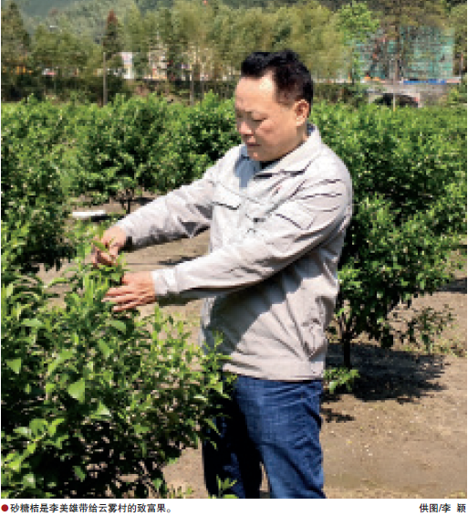 南宫国际(中国区)-官方网站