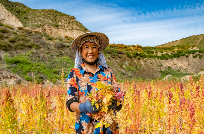 南宫国际(中国区)-官方网站