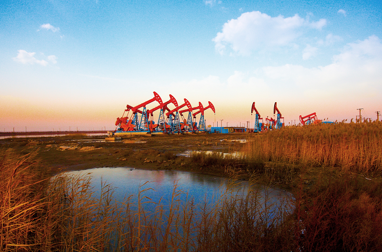 南宫国际(中国区)-官方网站