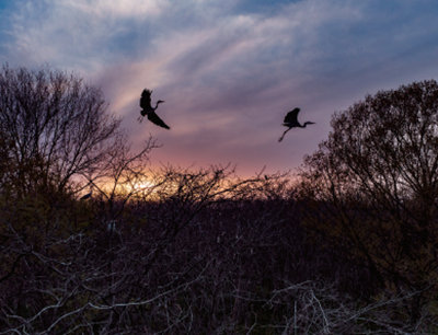 南宫国际(中国区)-官方网站