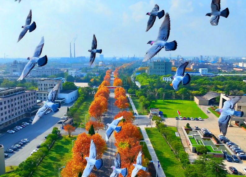 南宫国际(中国区)-官方网站