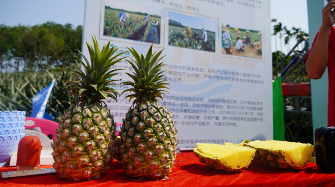 南宫国际(中国区)-官方网站