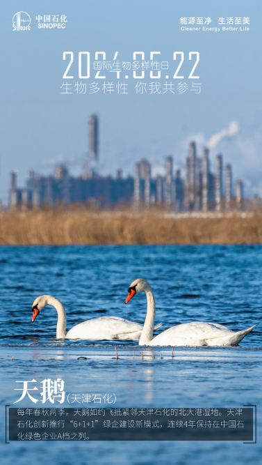 南宫国际(中国区)-官方网站