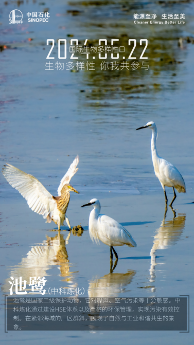 南宫国际(中国区)-官方网站
