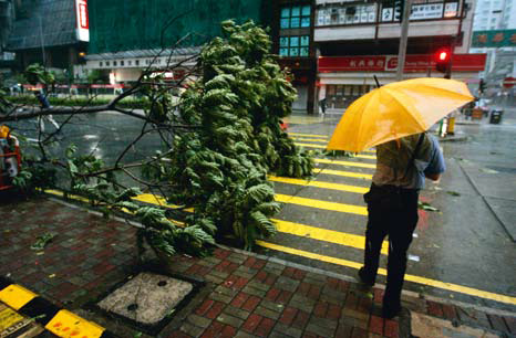 南宫国际(中国区)-官方网站