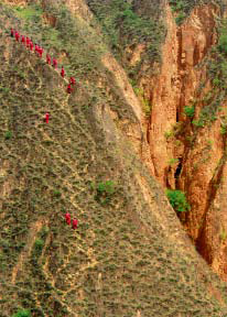 南宫国际(中国区)-官方网站