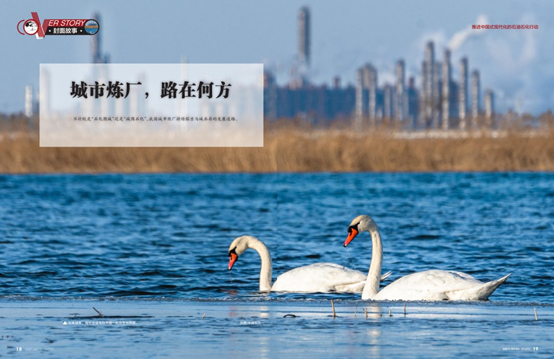 南宫国际(中国区)-官方网站