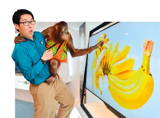 南宫国际(中国区)-官方网站