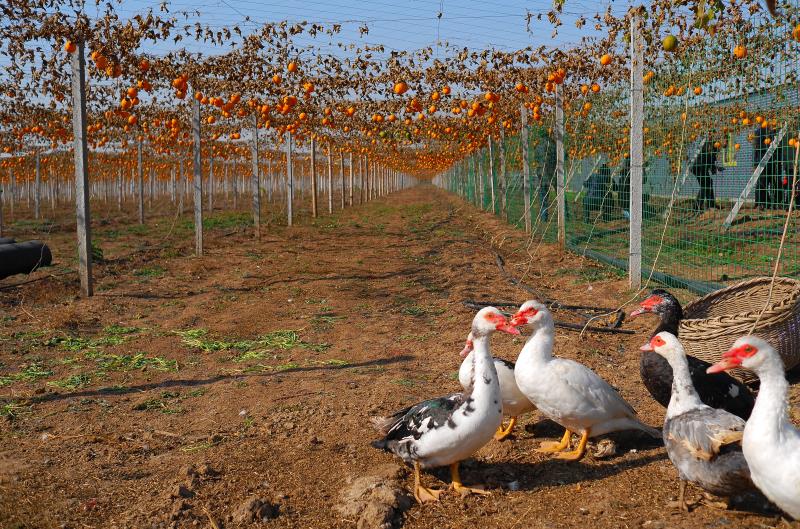 南宫国际(中国区)-官方网站